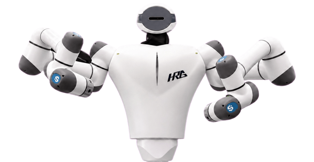 Embodied AI Robots